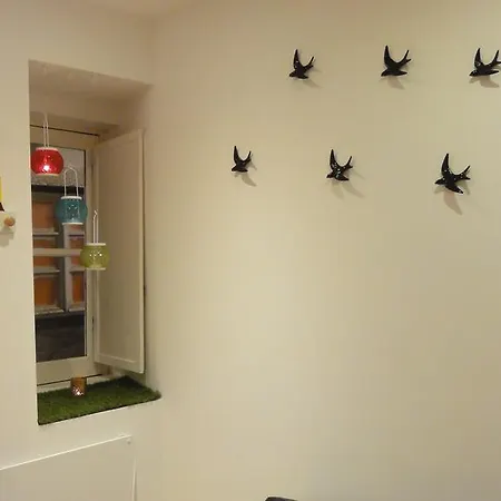 Apartamento Janelas Ao Sol